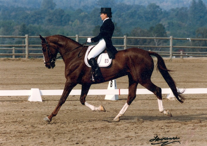 1992 lisa templeton cteta dressagejpegsmallerslider